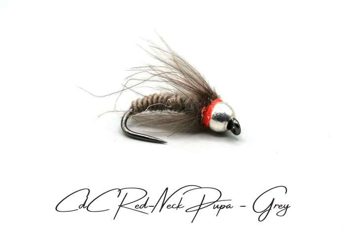 CdC Red-Neck Tungsten Pupa Selection