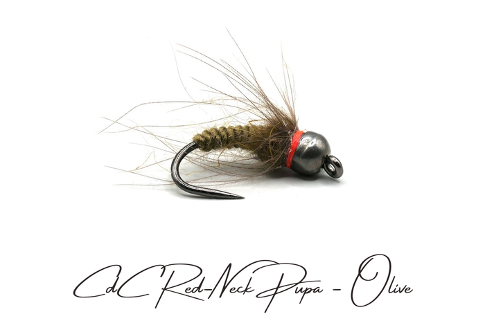 CdC Red-Neck Tungsten Pupa Selection