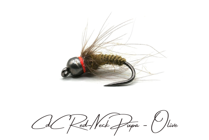 CdC Red-Neck Tungsten Pupa Selection