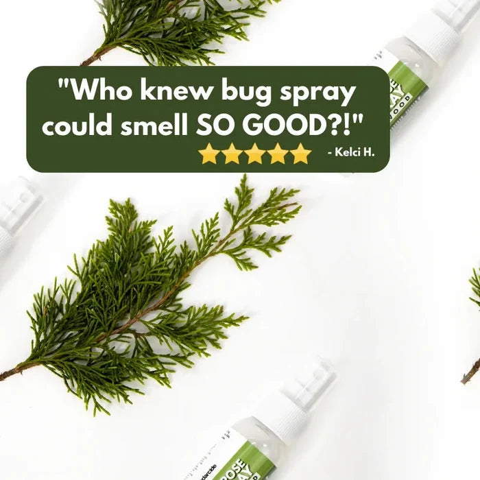 Cedarcide bug spray bottles arranged with fresh cedar sprigs, with a five-star customer review quote about how good the spray smells.