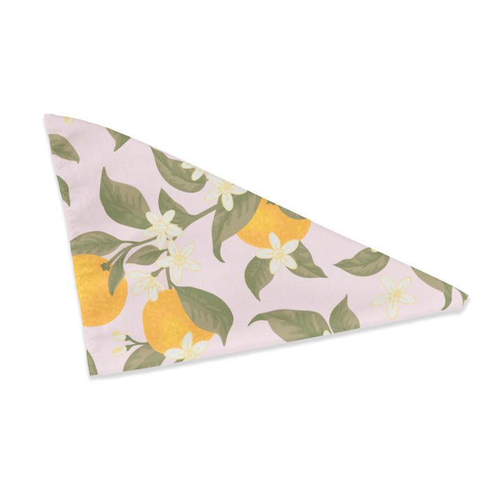 Triangular pink dog bandana printed with clementines, green leaves, and white citrus blossoms.