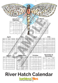 Club & Syndicate Hatch Calendar Poster Offer
