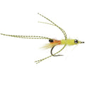 Cuban Yellow Shrimp (Saltwater)