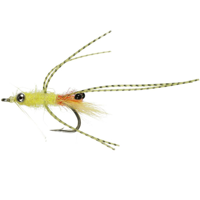 Cuban Yellow Shrimp (Saltwater)