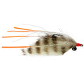Cubo Shrimp (Saltwater)