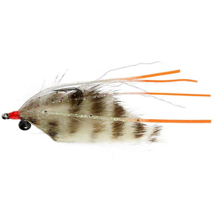 Cubo Shrimp (Saltwater)