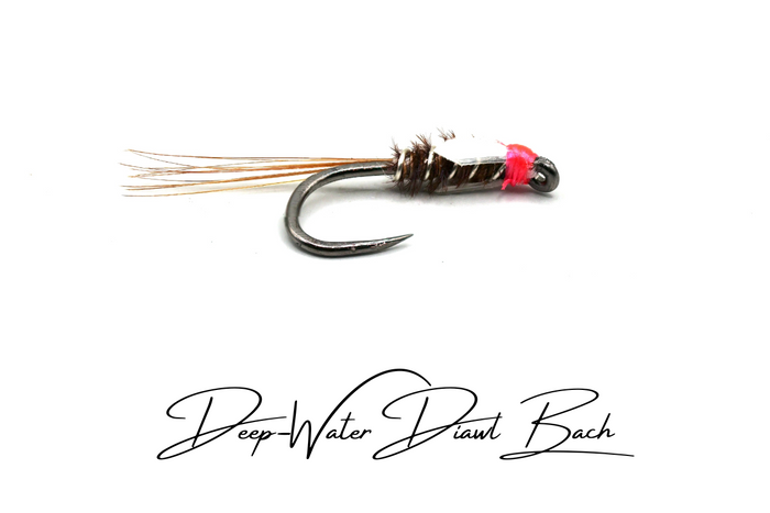 Diawl Bach Selection