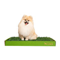 Fluffy Pomeranian sitting on a DoggieLawn disposable real grass pad with a green branded tray.