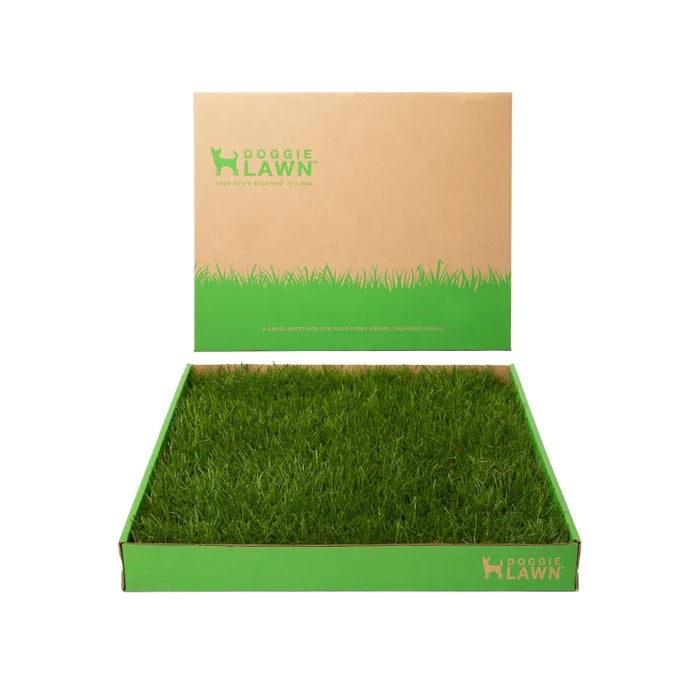 DoggieLawn disposable real grass dog pad in a green tray with branded cardboard packaging on a white background.