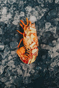 Dressed Cooked Greendale Lobster with Garlic Butter