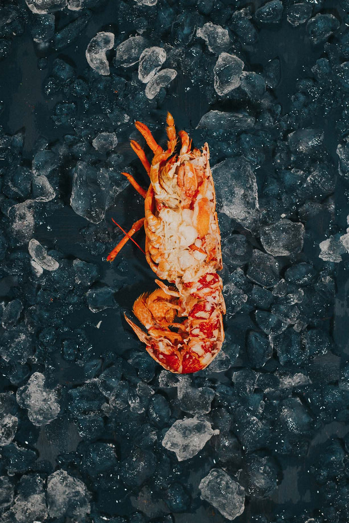 Greendale Dressed Lobster