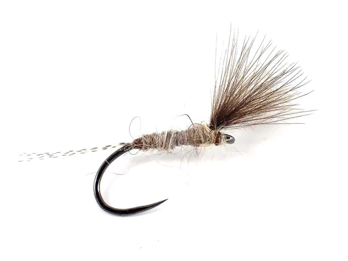 Early Season Selection
