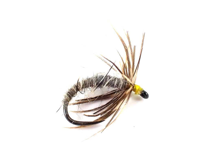 Early Season Selection