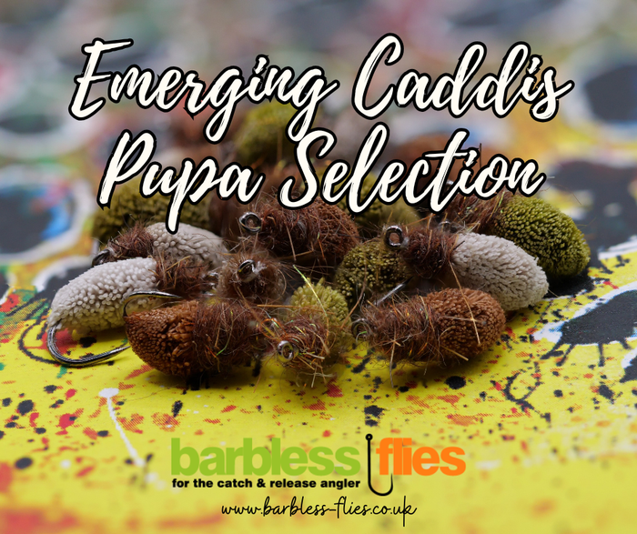 Emerging Caddis Pupa Selection