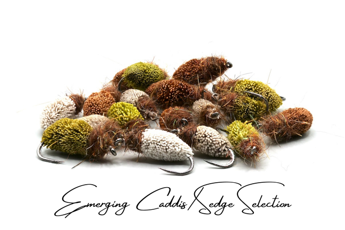 Emerging Caddis Pupa Selection