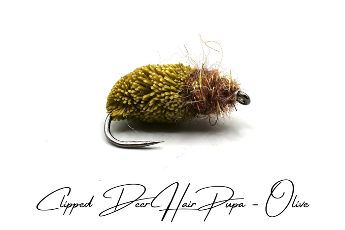 Emerging Caddis Pupa Selection