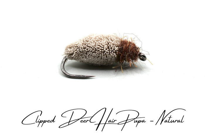Emerging Caddis Pupa Selection