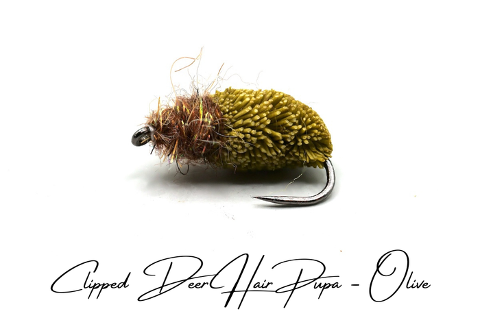 Emerging Caddis Pupa Selection