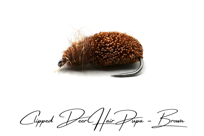 Emerging Caddis Pupa Selection