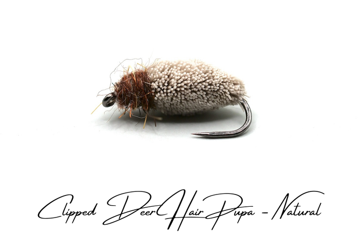 Emerging Caddis Pupa Selection