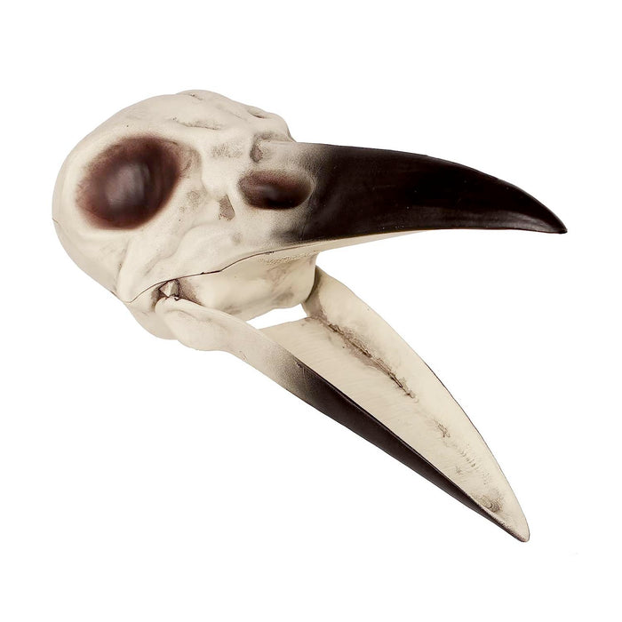 Evil Raven Skull - 8" Long