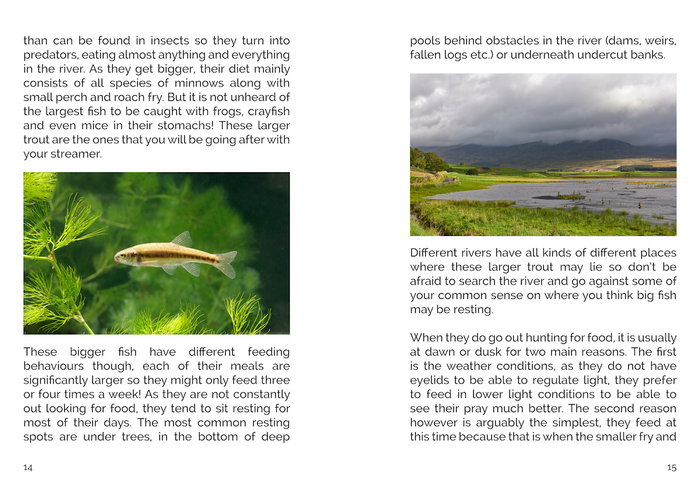 FLY Series: Streamer Fishing Tactics