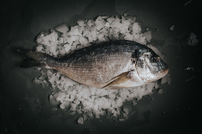 Gilt Head Bream, Headed & Trimmed