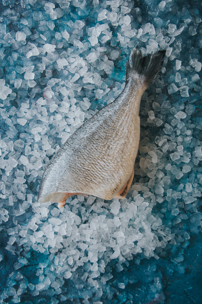 Gilt Head Bream, Headed