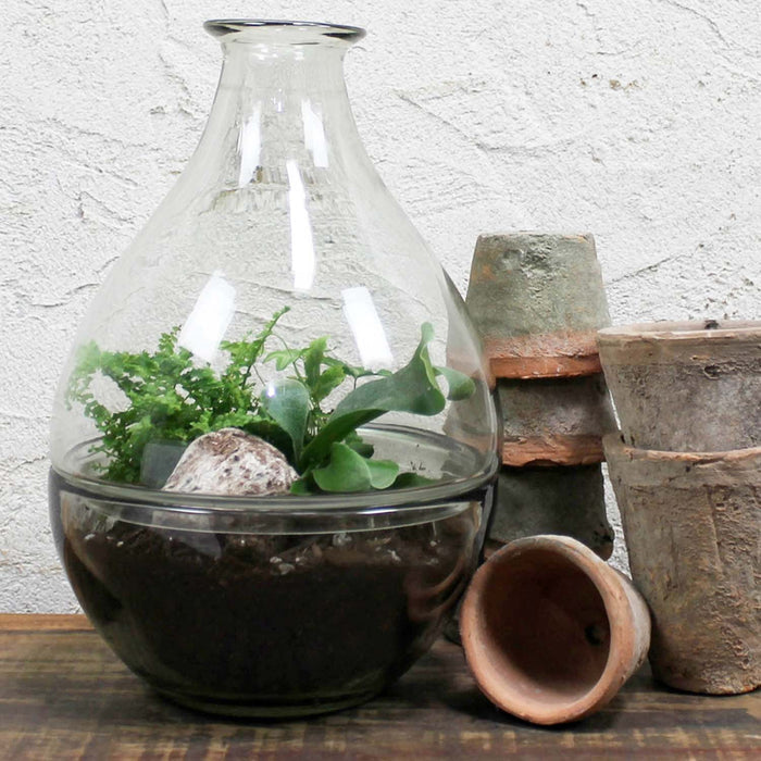 Glass Terrarium