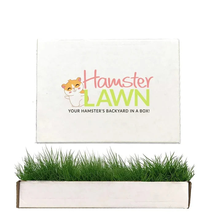 HamsterLawn Petite real grass pad with branded packaging and fresh green grass growing from the tray.