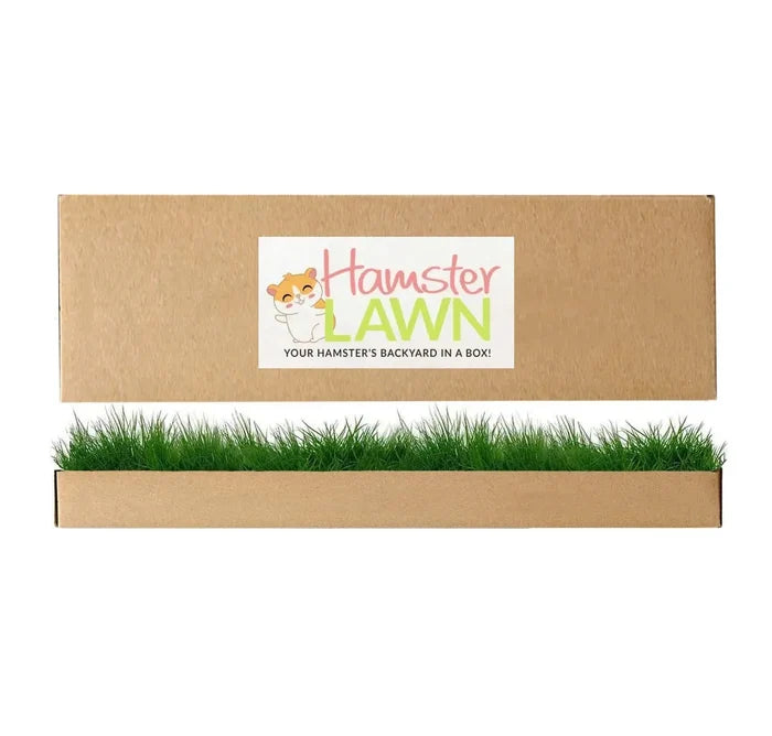 HamsterLawn real grass pad in branded cardboard packaging with fresh green grass growing from the tray.