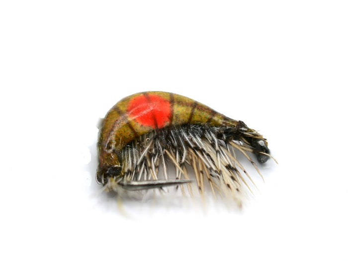 Hot-Spot Gammarus Special (Tan)