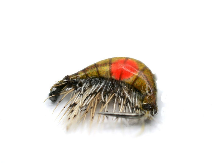 Hot-Spot Gammarus Special (Tan)