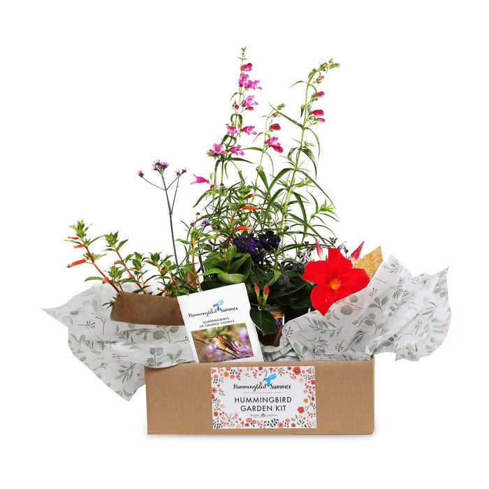 Hummingbird Gardening Kit - Roger's Gardens