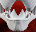 Large Avali Jawset