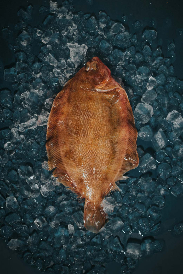 Greendale Lemonsole Whole