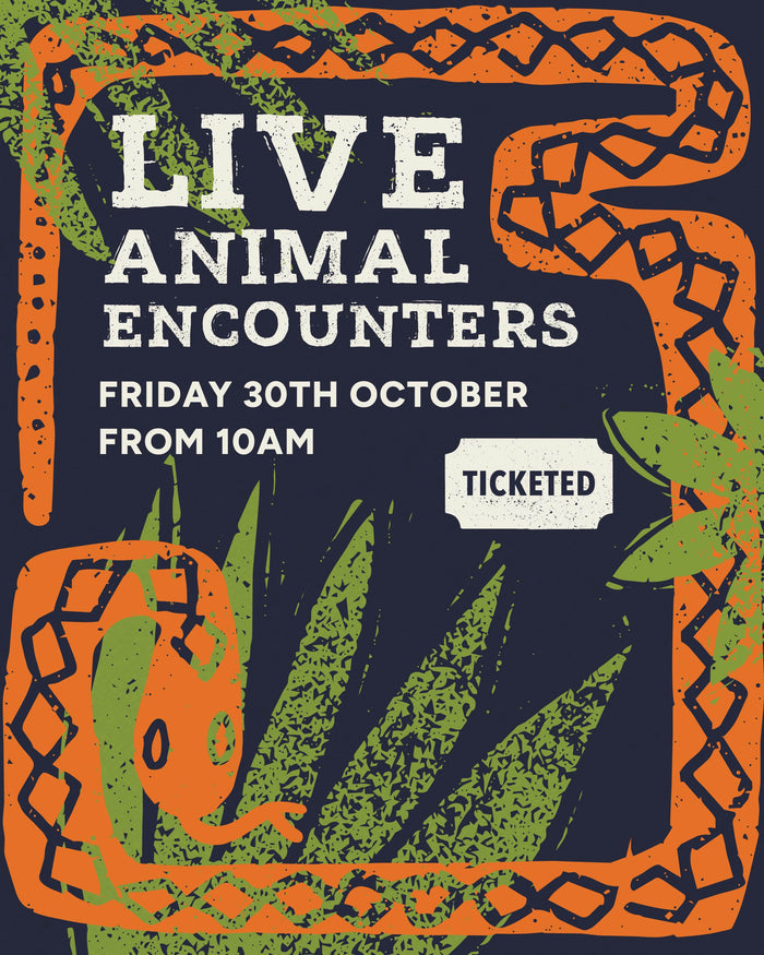 Live Animal Encounters | Friday 30th October