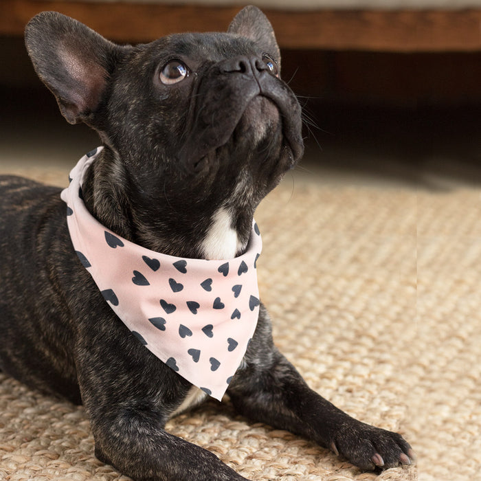 French Bulldog wearing a pink dog bandana with black hearts, resting on a woven rug.