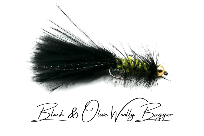 Lure / Streamer Selection