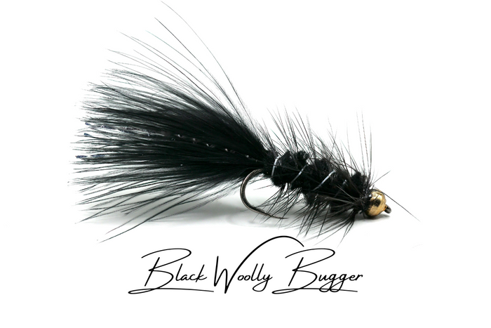 Lure / Streamer Selection