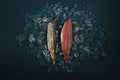 Greendale Mackerel Fillets