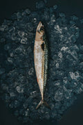 Greendale Mackerel Gutted