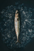 Greendale Mackerel Whole