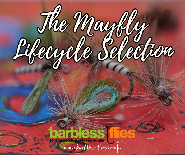 Mayfly (Full Lifecycle) Selection - Updated for 2026