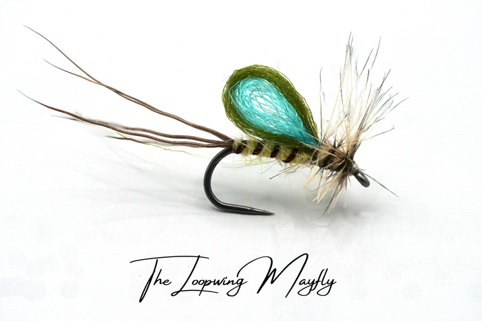 Mayfly (Full Lifecycle) Selection - Updated for 2026