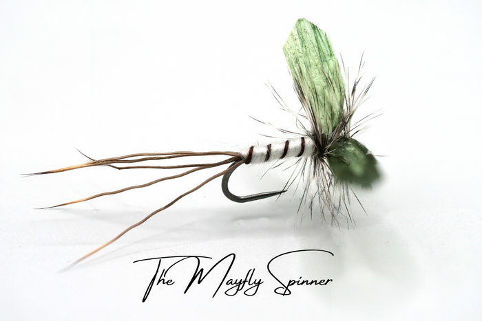 Mayfly (Full Lifecycle) Selection - Updated for 2026
