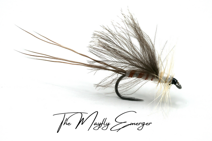 Mayfly (Full Lifecycle) Selection - Updated for 2026