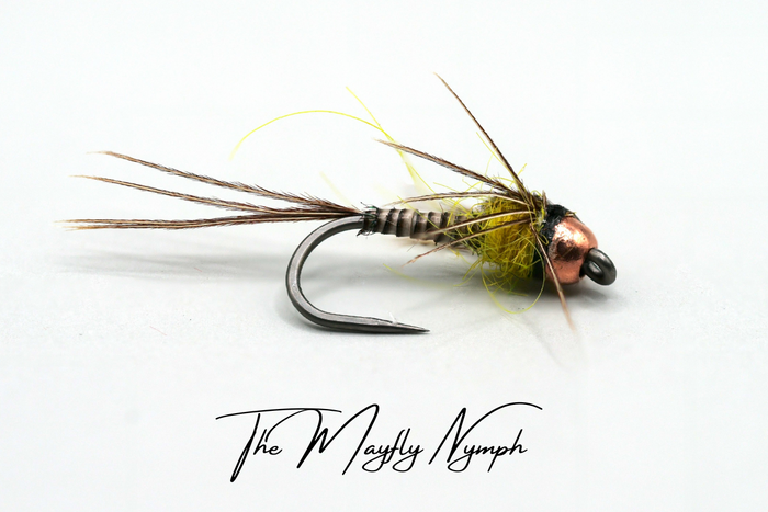 Mayfly (Full Lifecycle) Selection - Updated for 2026
