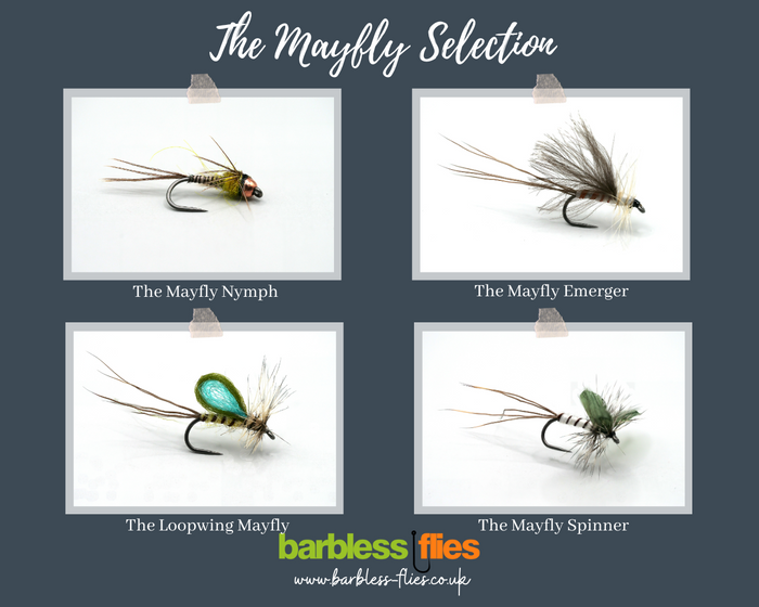 Mayfly (Full Lifecycle) Selection - Updated for 2026