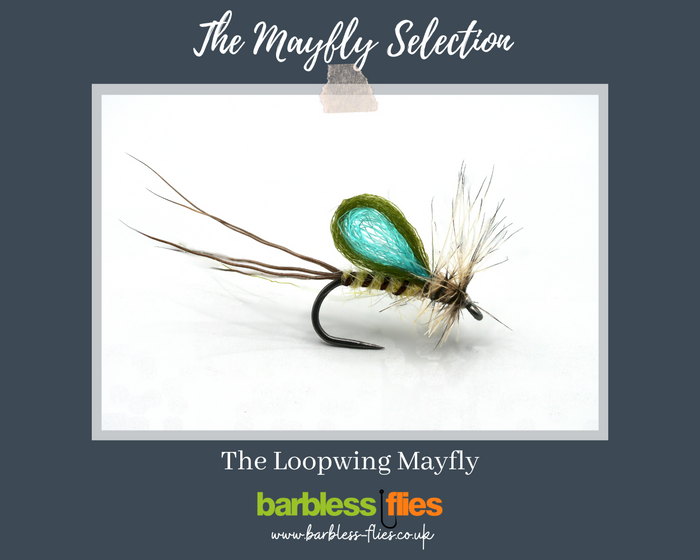 Mayfly (Full Lifecycle) Selection - Updated for 2026